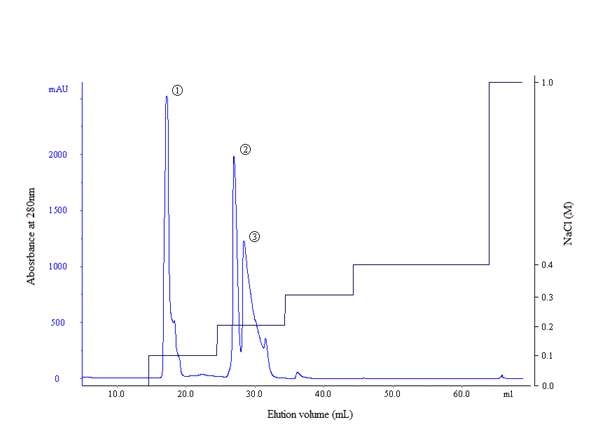 Anion exchange chromatography of supernatant of whey protein treated with 50% Ammonium Sulfate used Mono-Q column