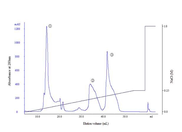 Linear gradient anion exchange chromatography of supernatant of whey protein treated with 50% Ammonium Sulfate used Mono-Q column