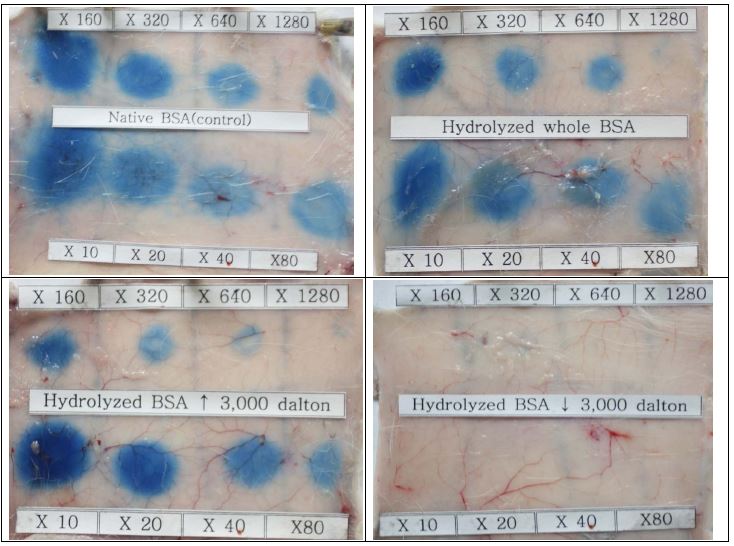 Pattern of PCA tests of rabbit anti-BSA serum with alcalase BSA hydrolysates