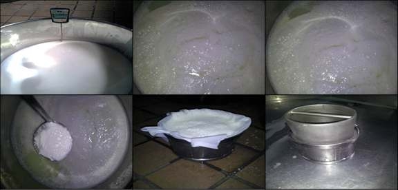 The process for making ricotta cheese