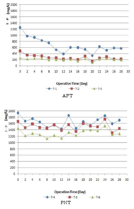 액비 후숙공정 중 알칼리발효(A FT) 및 인산중성화처리구(PNT)의 T-P의 변화