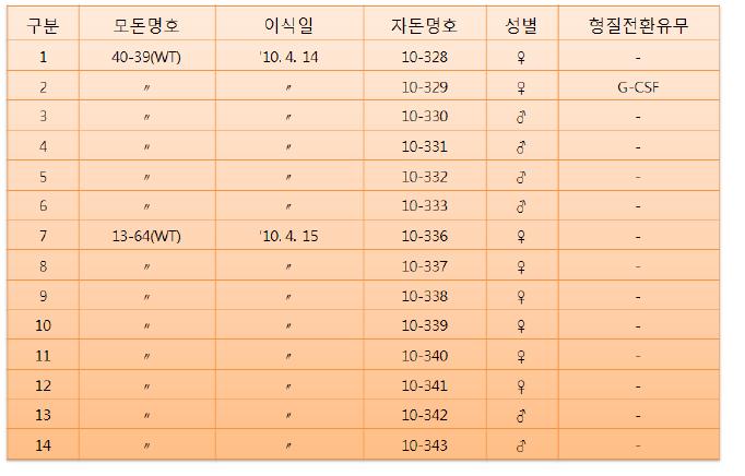 G-CSF 수정란 이식 후 생산된 자돈