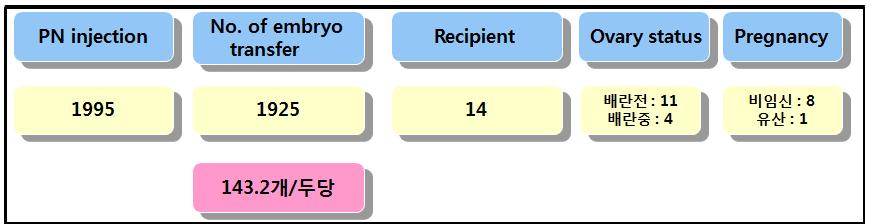 hG-CSF(Mut #5)를 이용한 수정란 미세주입 및 이식