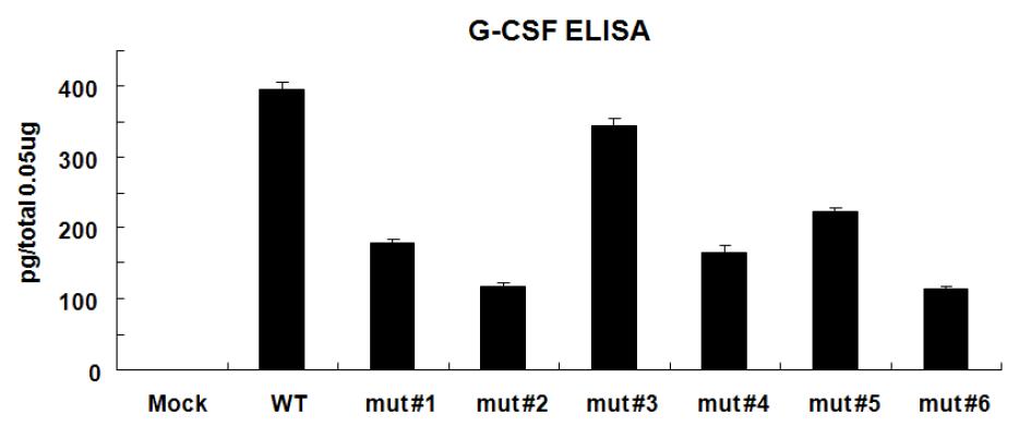 hG-CSF발현량을 ELISA방법에 의해 정량