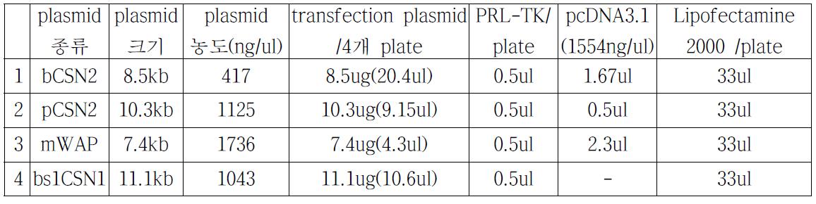 플라스미드 transfection 조건