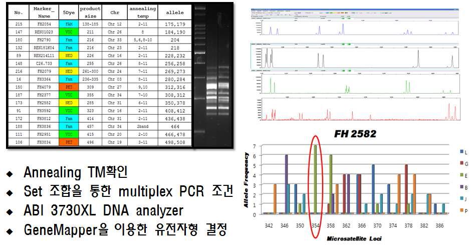 Multiplex PCR를 이용한 microsatellite maker 개발.