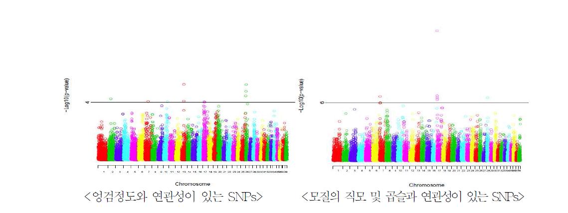 삽살개의 모질상태에 따른 염색체별 16개의 단일염기변이들