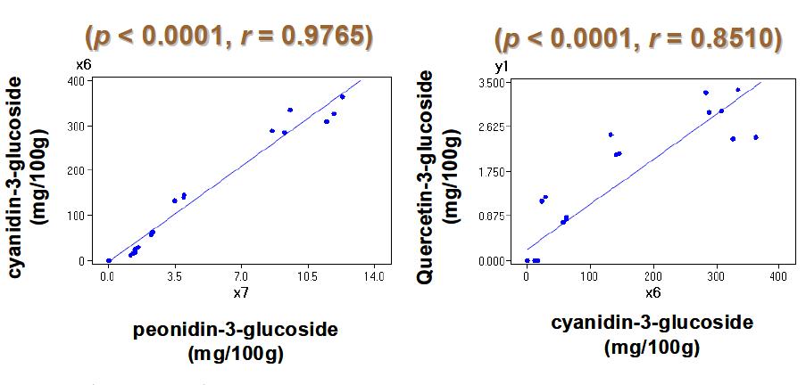 유색미 분석을 통한 안토시아닌 및 quercetin과의 상관관계