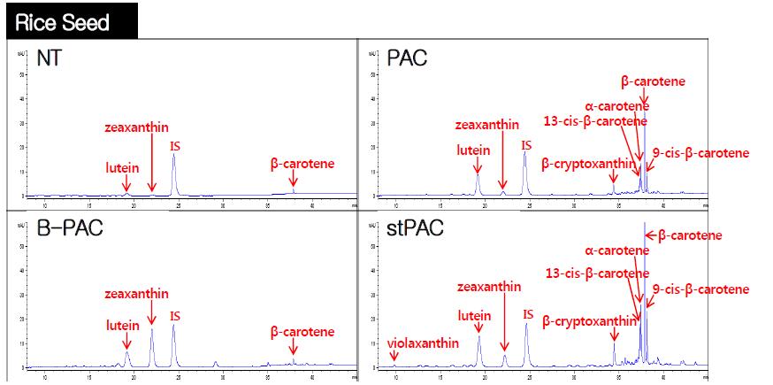 PAC, B-PAC, stPAC 형질전환체로부터 카로티노이드의 HPLC 크로마토그램