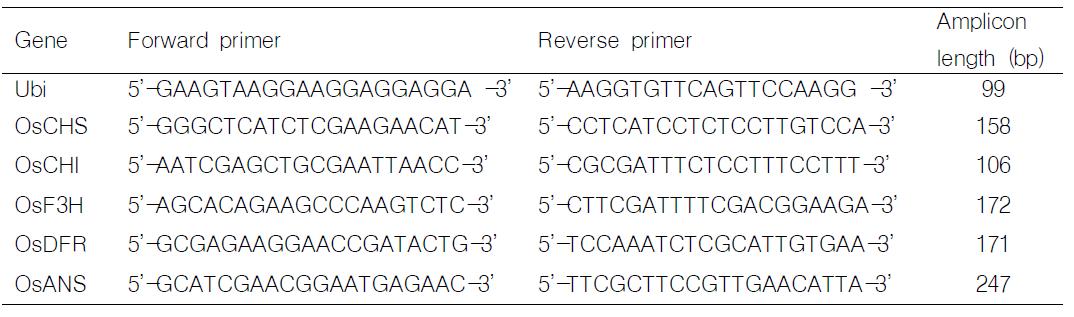 본 실험에 사용된 qRT-PCR 프라이머