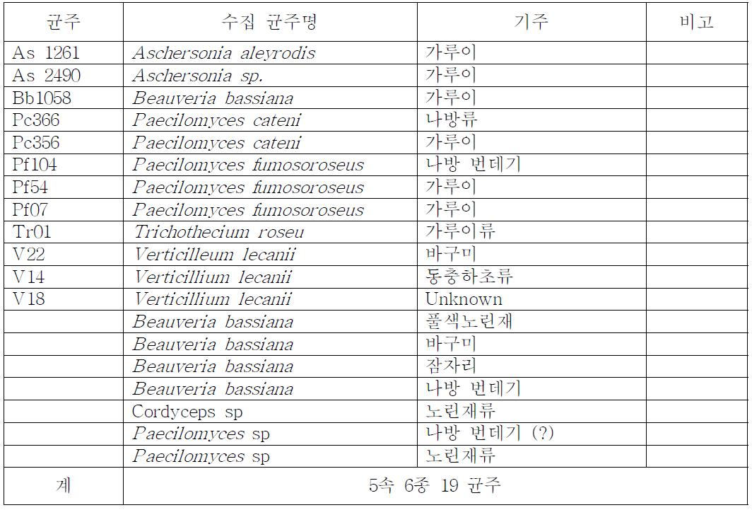 수집 곤충병원성 곰팡이 목록