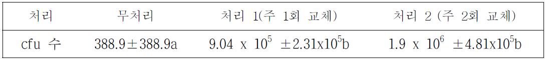 뒤영벌 충체에서 측정한 B. subtilis QST713 측정된 cfu 수