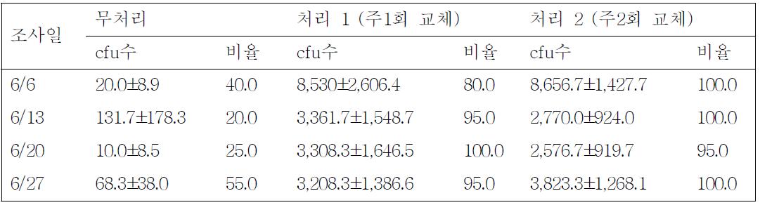 토마토 꽃에서 측정한 B. subtilis QST713 cfu 수 (평균±오차) 및 검출비율