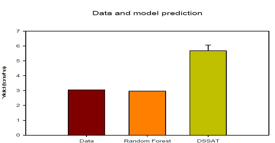 밀 생산량의 실제값(좌)과 랜덤포리스트 예측값(중간), DSSAT 예측값(우)