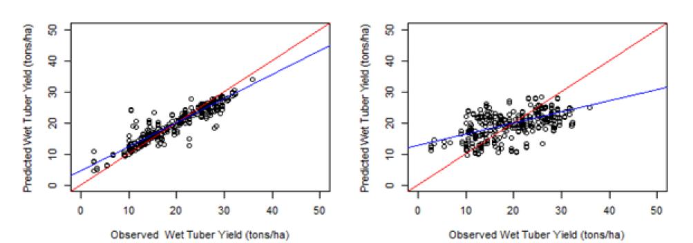 감자 생산량의 실제값과 예측값 비교[랜덤포리스트(왼쪽), 다중선형회귀(오른쪽)]