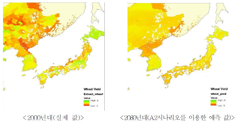 밀 생산량에 대한 2000년대 실제 값과 A2시나리오를 이용한 2080년대의 예측 값