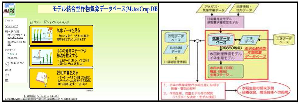 일본 모델결합형 작물기상 데이터베이스