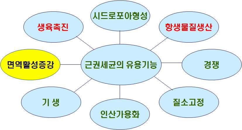 근권미생물의 유용기능