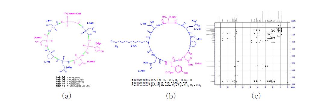 (a) iturins의 구조, (b) bacillomycins의 구조, (c) iturin A-2의 HMBC NMR 스펙트럼 (900 MHz, DMSO-d6)