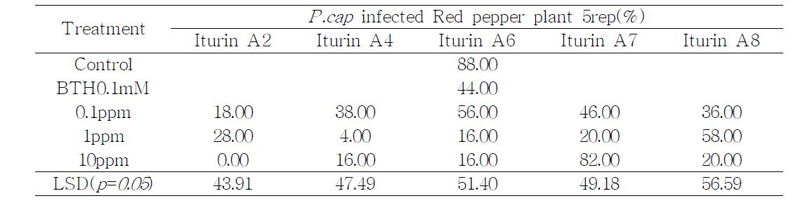 Disease suppression against Phytophthora capsici on red-pepper plant by spray of iturin analogs