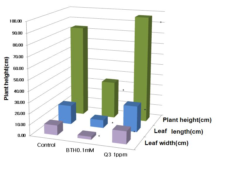 Paprika plant growth promotion by treatment of cyclo dipeptide Q3 in hydroponic