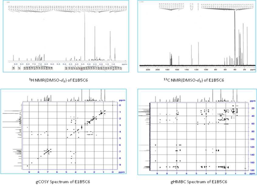 iturin A2의 NMR 스펙트럼 자료
