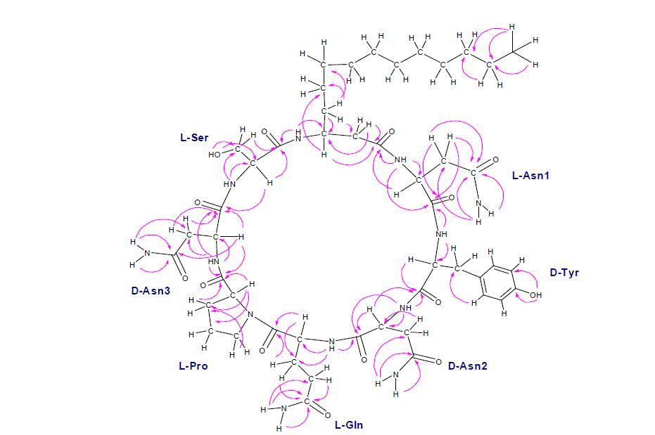 HMBC 스펙트럼 자료로부터 얻은 proton과 carbon의 상관관계들