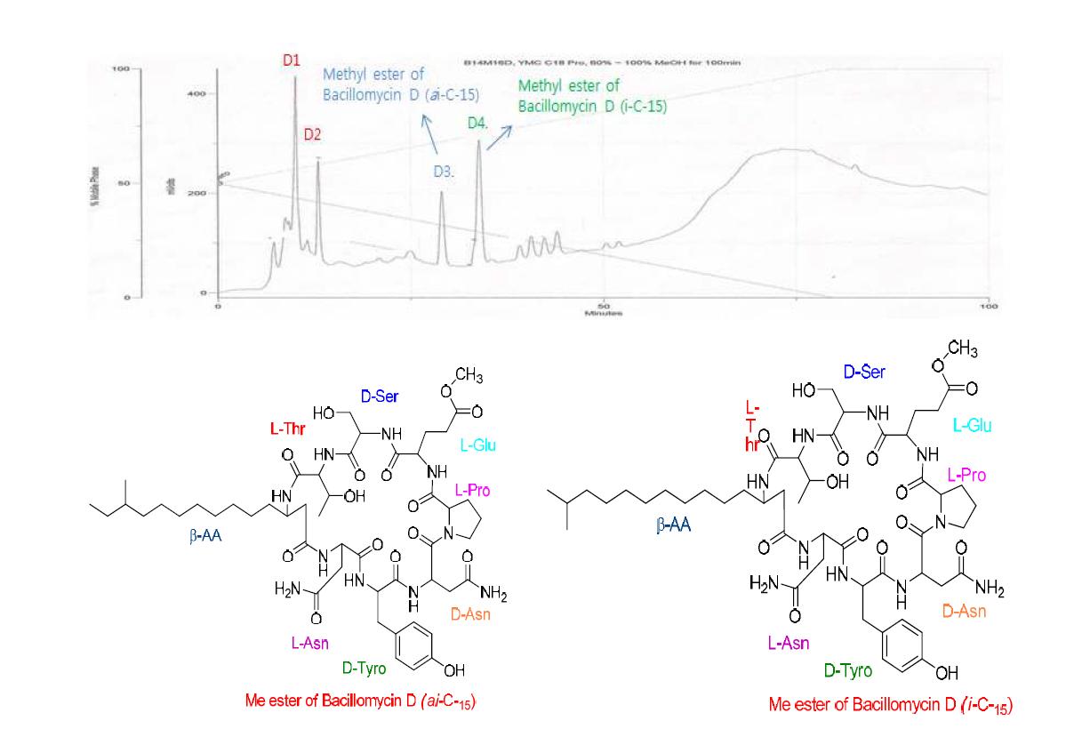 Bacilomycin methyl ester의 HPLC 스펙트럼과 화학구조