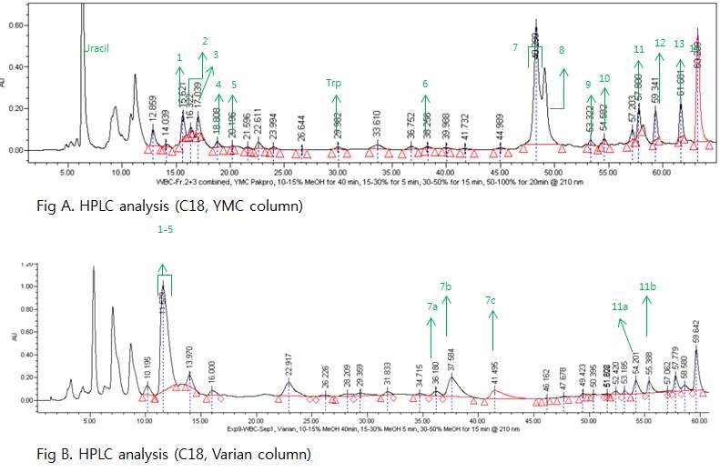 Cyclic dipeptide를 포함하는 부분의 C18 HPLC 스펙트럼 (Fig A: YMC 컬럼; Fig B: Varian 칼럼)