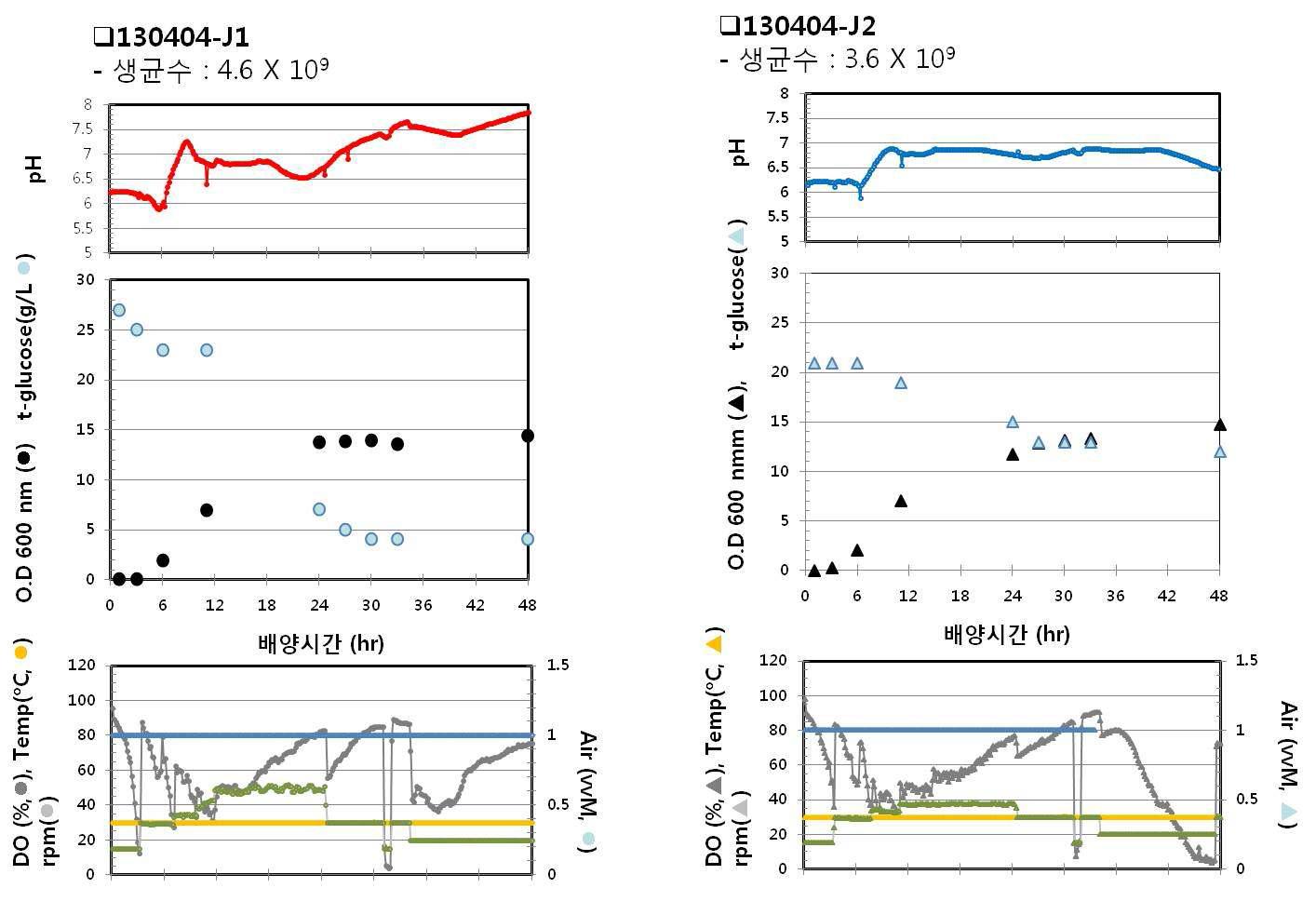 130404-J1, 130404-J2 배양 패턴