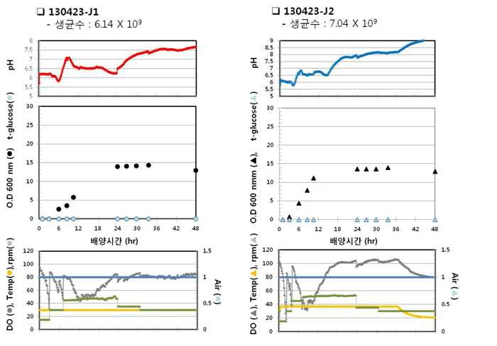 130423-J1, 130423-J2 배양 패턴