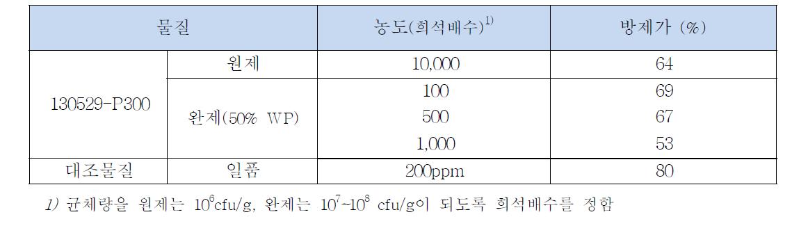 130529-P300 배양액을 이용한 원제 및 완제의 방제효과