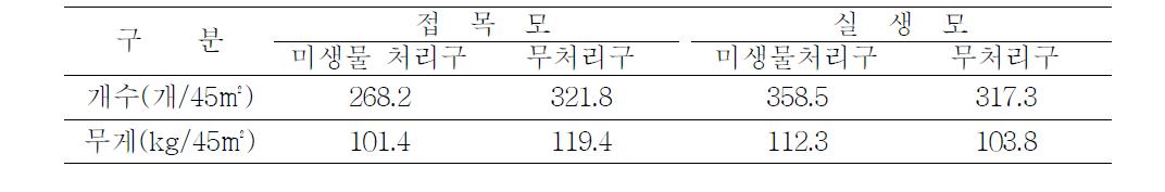 모종별 미생물 처리효과시험