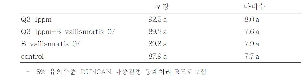 펩타이드 물질처리시 시설고추 생육현황(2013. 5. 17조사)