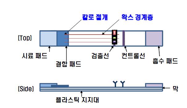 왁스경계층을 이용한 검출영역 분리