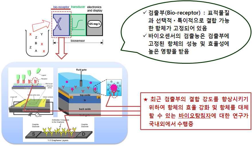 바이오센서 검출부 연구 현황