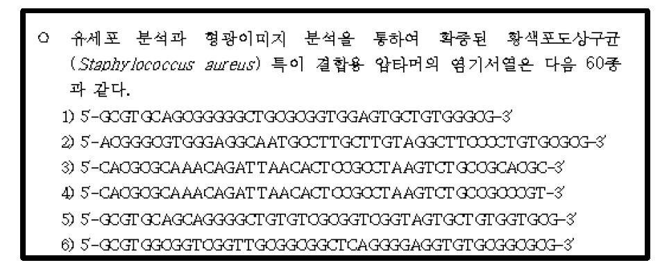 ‘황색포도상구균 특이 결합용 ssDNA 압타머 제작’ 특허 출원 내역