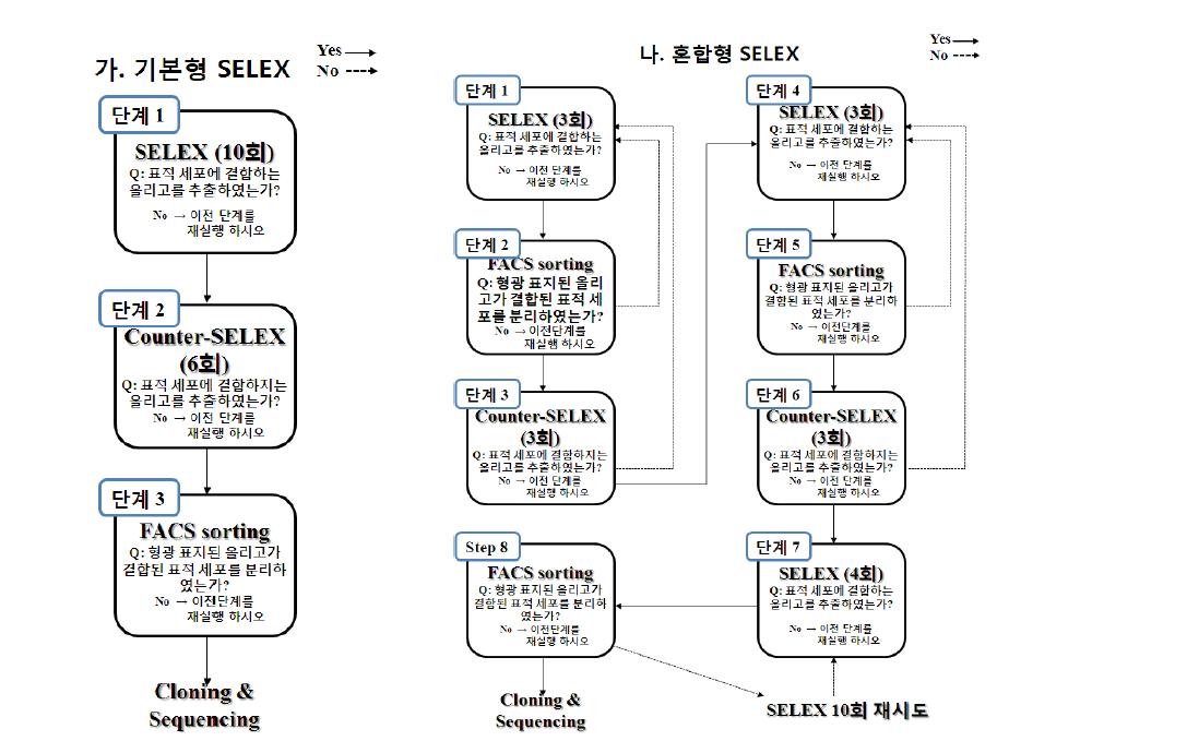 기본형 SELEX와 혼합형 SELEX 흐름 비교