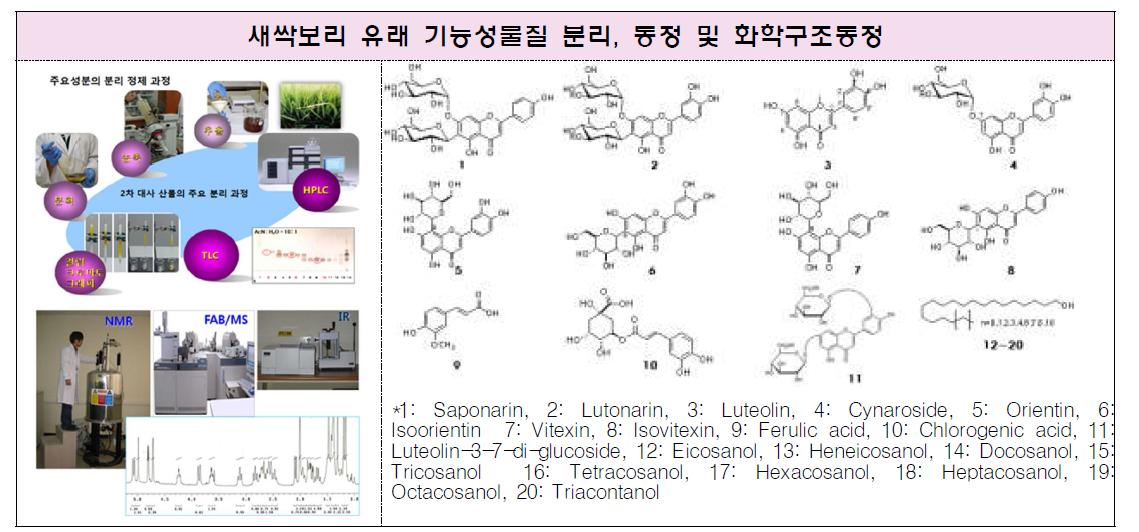 새싹보리 기능성물질 탐색 과정(좌: 위, 아래) 및 분리 화합물 20종(우)