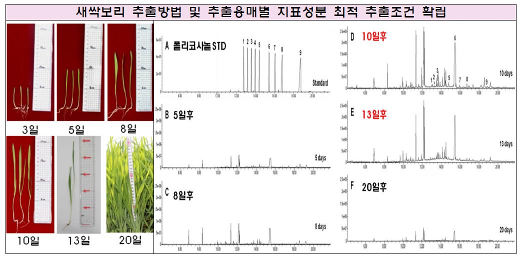 새싹보리 생육시기별 사진(왼쪽), 수확시기별 폴리코사놀 함량 GC-Ms 크로마토그램(중간, 오른쪽)