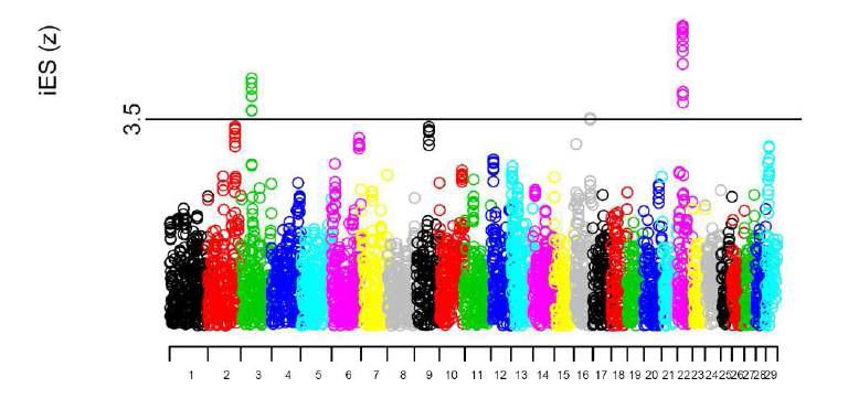 Genome-wide extended haplotype homozygosity (EHH) profiling to detect signatures of selection in Hanwoo