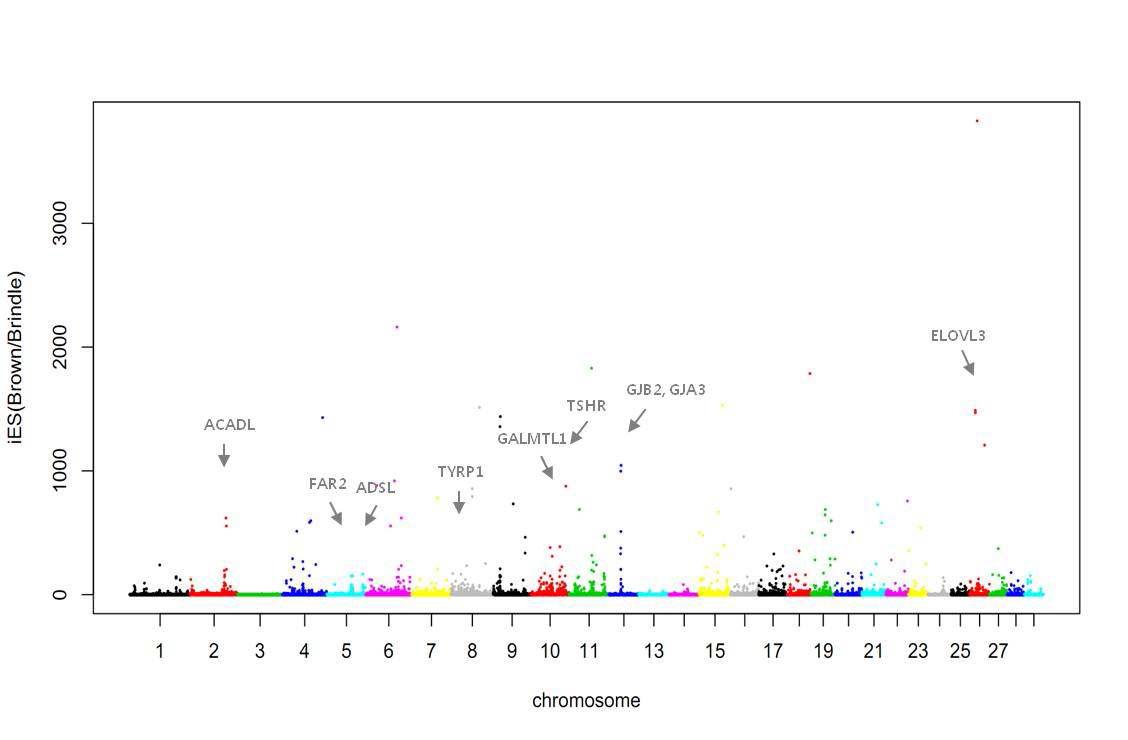 Genome-wide map of iESi=iESi한우/iESi칡소