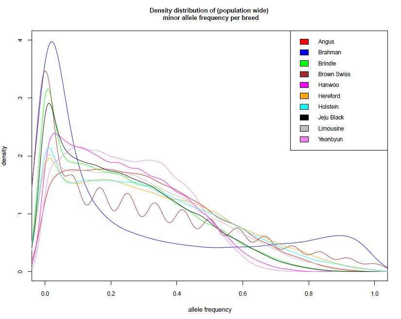 Density distribution of minor allele frequency (population wide)