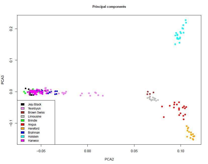 PCA2 × PCA3 of the GRM