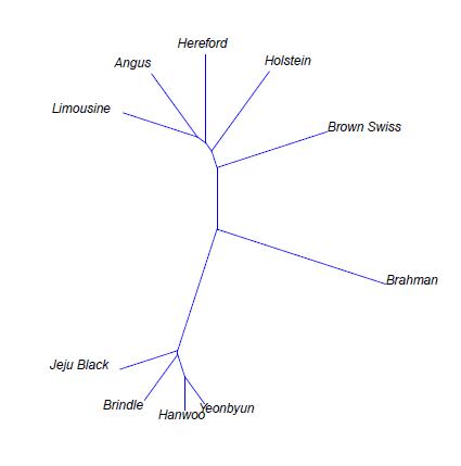 Unrooted tree of relationships between breeds based on allelic sharing