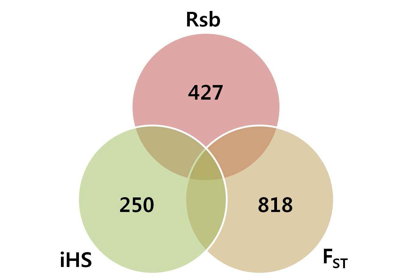 The Venn diagram indicates the numbers of the overlapped significant SNPs between the comparisons