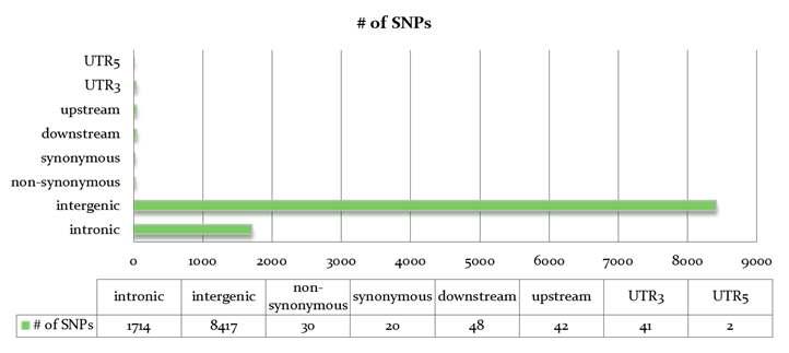 The functional type of SNPs from resequencing data