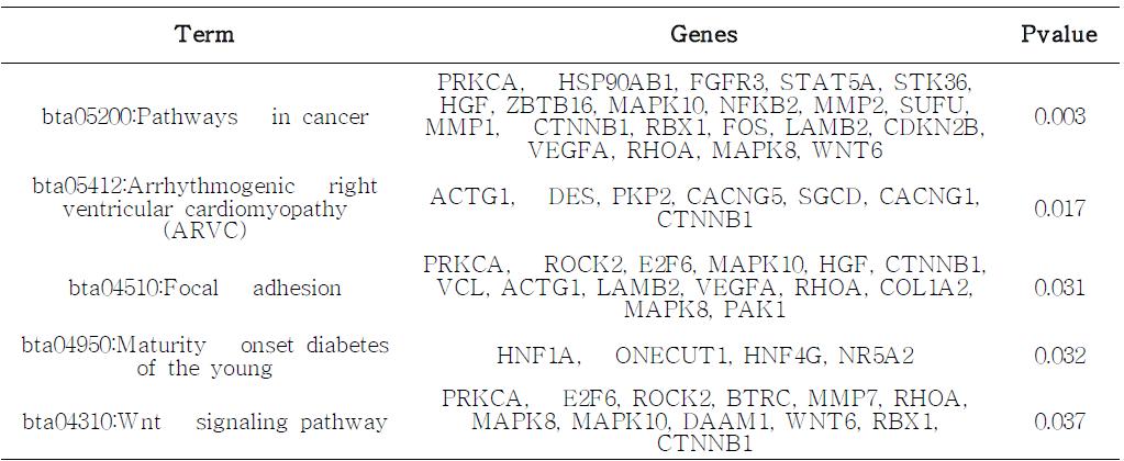 Functional enriched KEGG pathway terms from Fisher’s exact test using DAVID tools