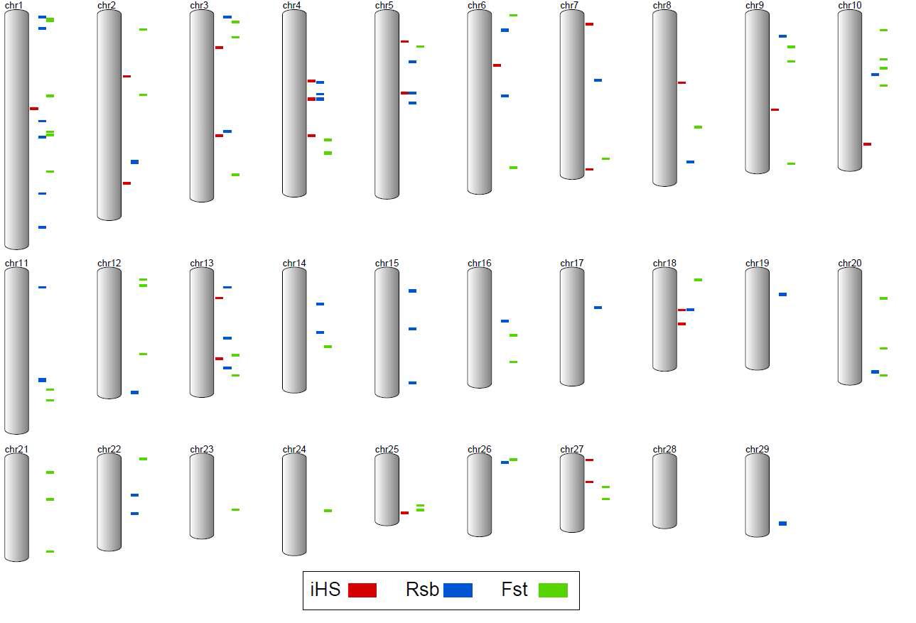 The map of the selection signals in the Brown Hanwoo from the three comparisons using R sb, iH S and F ST statistic