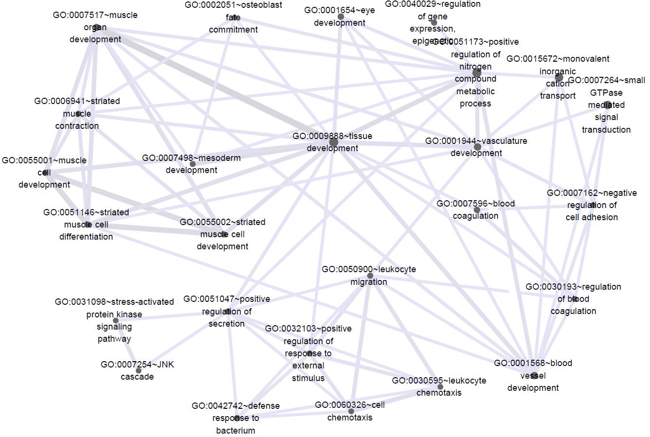 Network of functional terms of candidate genes from three methods